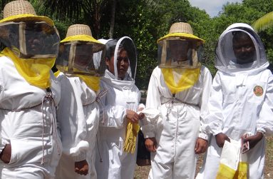 A group of participants dressed in preventative garments for the beekeeping tour