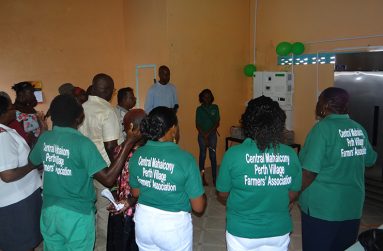 Members of the association and invited guests at the commissioning of the solar electrical system
