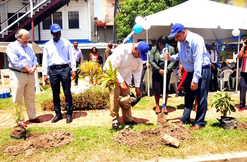 Minister of Agriculture, Mr. Noel Holde participates in the tree planting exercise within the IICA compound, while Minister within the Ministry of Health, Dr. Karen Cummings and IICA’s Country Representative to Guyana, Mr. Wilmot Garnett, pay keen attention. Also looking on are Ambassador of Argentina, His Excellency, Dr. Felipe Alejandro Gardella (L) and Mr. Jean Ricot Dormeus, OAS Representative to Guyana (Photo by Adrian Narine)