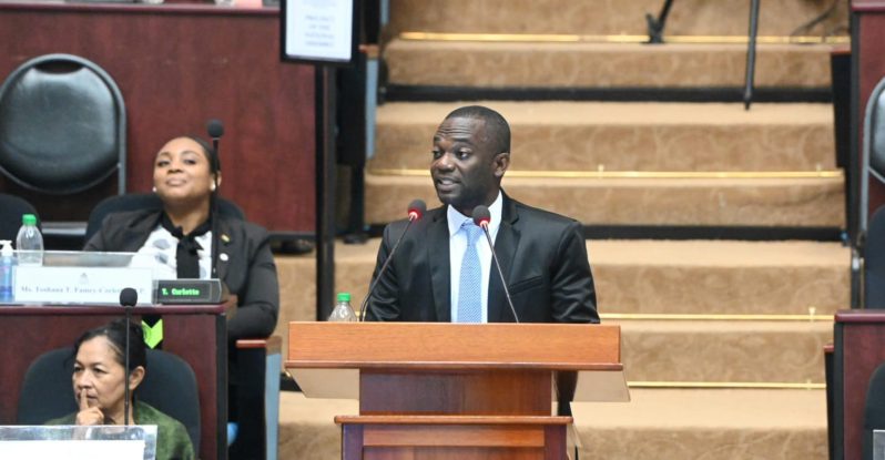 We Invest in Nationhood (WIN) Member of Parliament (MP), Dr. Andre Lewis