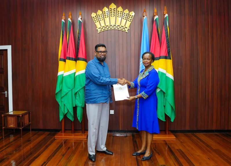 President Dr Irfaan Ali and United Nations Resident Coordinator, Jean Kamau.