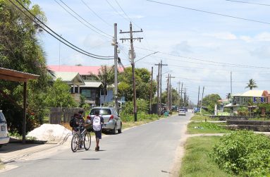 A section of Middle Walk Road, Victoria Village (Photos by Shari Simon)