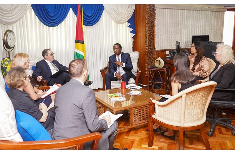 Minister of Foreign Affairs and International Co-operation, Hugh Todd, on Wednesday met with representatives of the ABCEU countries and France for the monthly dialogue on United Nations Security Council (UNSC) matters