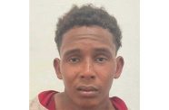 Jailed: Aaron Wilson