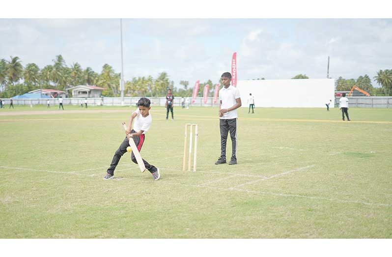 Part of the action on Saturday at the Albion Sports Complex