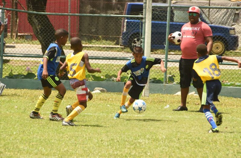 Part of the close action on Saturday at the Banks DIH, Thirst Park ground