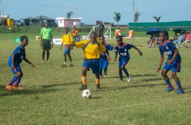 Action in round three of the Courts Optical Pee Wee football tournament