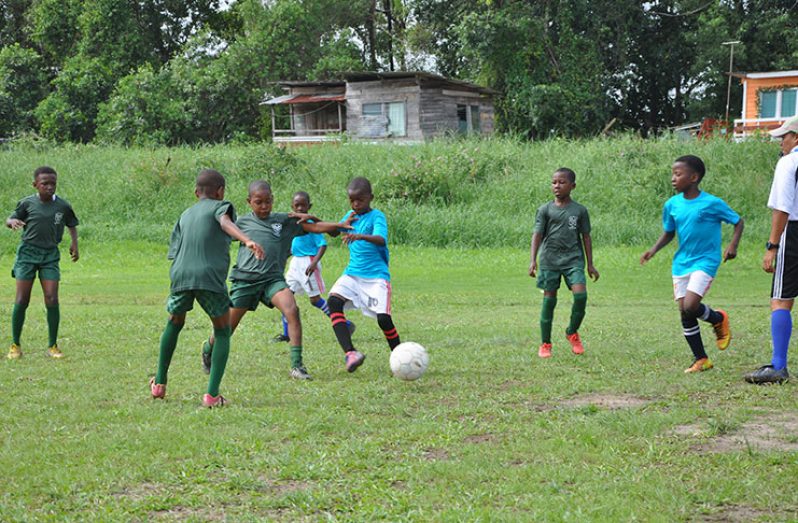 Action in the Timehri Panthers (green) and Diamond Upsetters match yesterday at the Diamond Community Centre Ground.