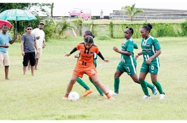 Both girls and boys finals in the ExxonMobil U14 football championship will be played on Sunday