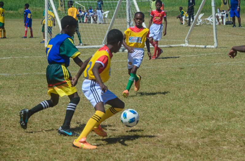 Part of the action during the last of the round-robin phase of the COURTS Pee Wee Football Competition. (Delano Williams photo)