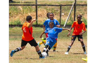 The action in Round Two of the Courts Optical Pee Wee football tournament