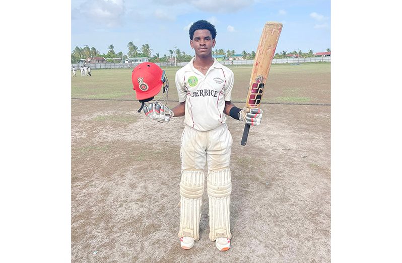 Adrian Hetmyer struck 41 fours and four sixes in his innings