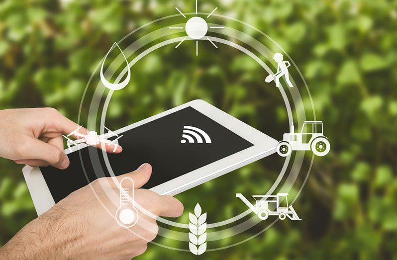 The selected startups will develop pilot projects with IICA and use their solutions in the member states of this hemispheric organisation specialising in agriculture and rurality (IICA photo)