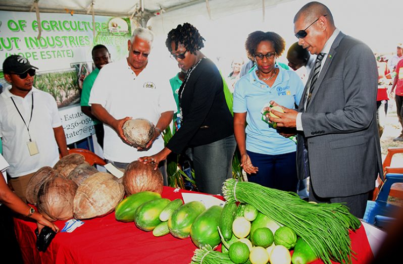 Agriculture Minister, Noel Holder (left); Public Service Minister, Tabitha Sarabo-Halley (second from left); Resident FAO Representative, Dr. Gillian Smith and Minister of Business, Haimraj Rajkumar checking out some of the exhibits at the World Food Day exhibition (Adrian Narine photo)