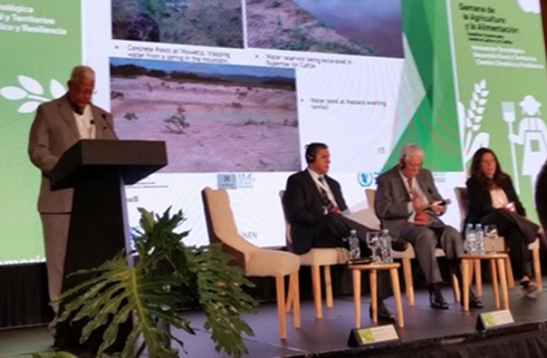 Agriculture Minister Noel Holder during his address in Buenos Aires, Argentina
