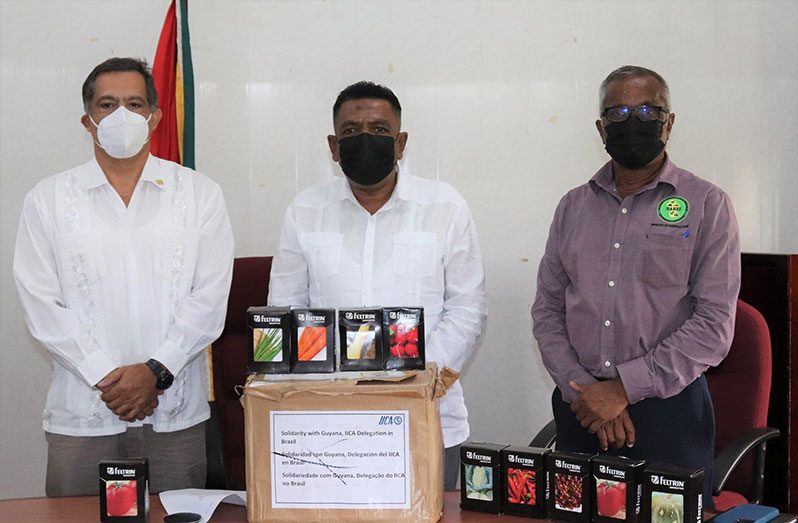 From left: IICA's Country Representative, Wilmot Garnett; Agriculture Minister, Zulfikar Mustapha and National Agricultural Research and Extension Institute’s (NAREI) Chief Executive Officer (CEO), Jagnarine Singh
Photo saved as agri1