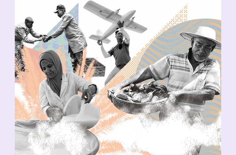 The FAO Investment Centre in 2022 helped design 45 public investment projects in 32 countries, worth a total of $8.8 billion in new investments