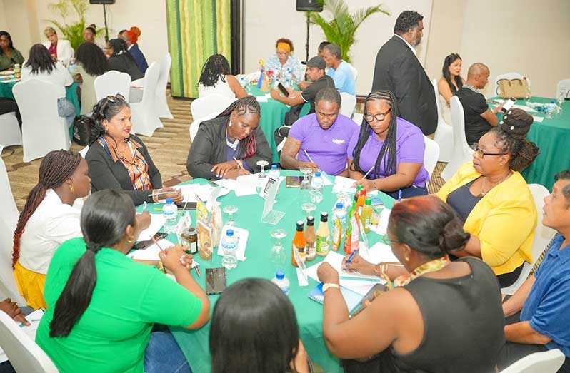 Participants engage in discussions during the forum, gaining key insights into Barbadian consumer preferences, regulatory standards, packaging requirements and distribution logistics, with several talks expected to progress into supply agreements and formal distribution partnerships at AgroFest