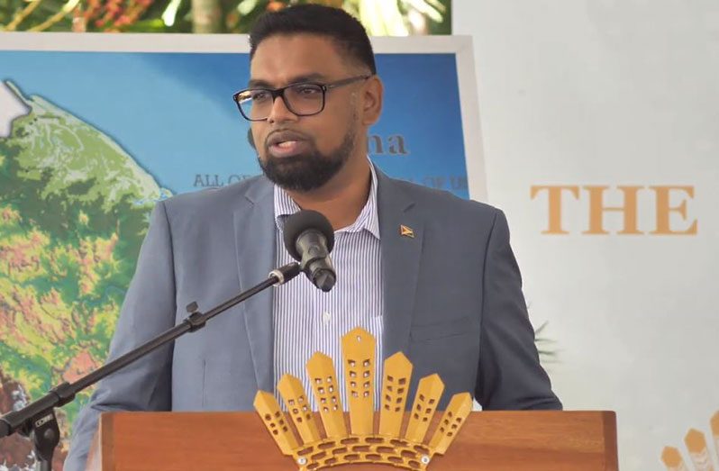 President, Dr. Irfaan Ali, announced on Friday that Guyana stands to earn US$750 million from the sale of its carbon credits to Hess Corporation.