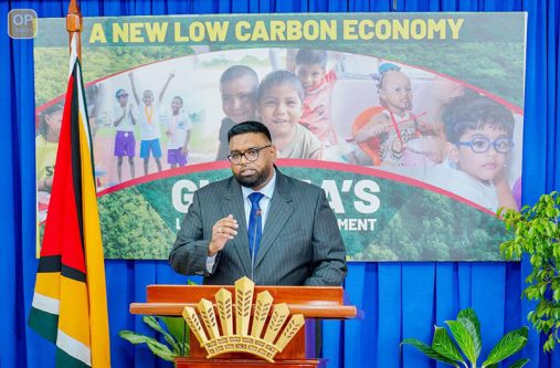 President Dr. Irfaan Ali