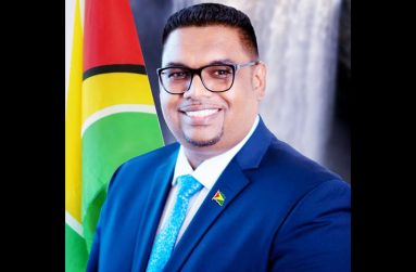 H.E. Dr Irfaan Ali