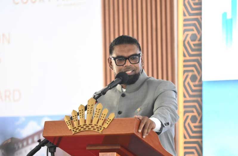 President, Dr Irfaan Ali (Delano Williams photo)