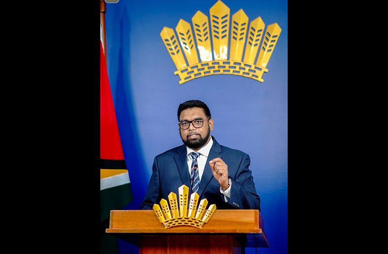 President, Dr Irfaan Ali 