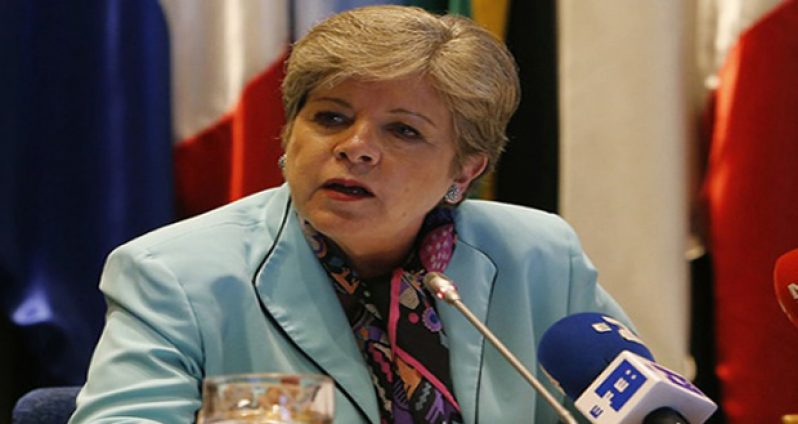 Alicia Bárcena, Executive Secretary of ECLAC