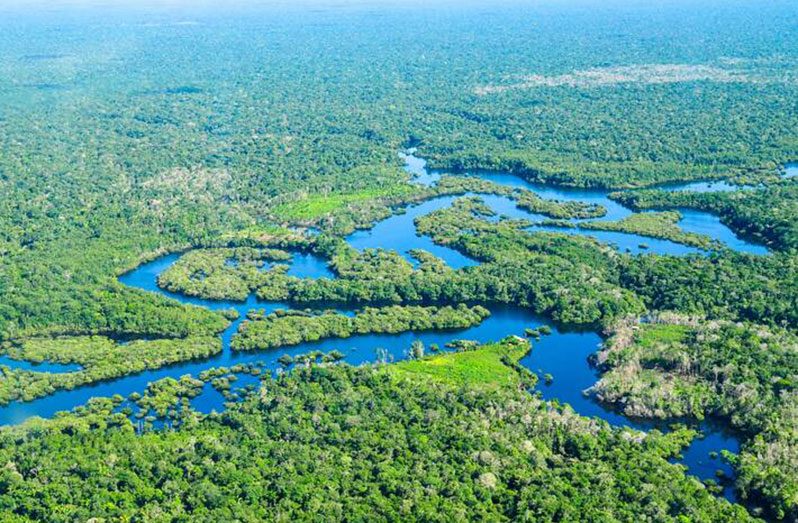Forested watersheds contribute substantially to the world's accessible freshwater for agricultural, industrial, environmental, and domestic uses, with the world's major cities increasingly reliant on water from forested watersheds (FAO photo)