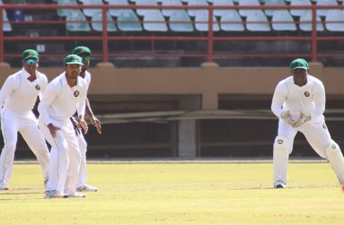 Wicket-keeper Anthony Bramble followed his three dismissals with the gloves for a top score of 62.