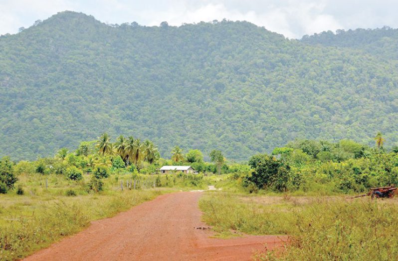 A road which leads to a section of the village of Aranaputa in the North Rupununi (Alva Solomon photo)