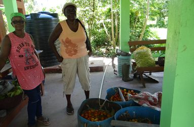Ms. Gloria Adams (R), well known as Aunty Gloria