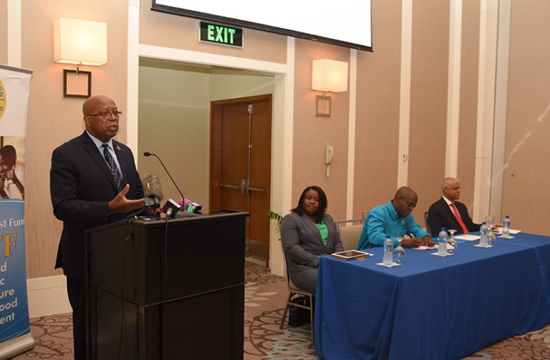 Finance Secretary Hector Butts addresses the gathering as members of the head table look on (Samuel Maughn photo)
