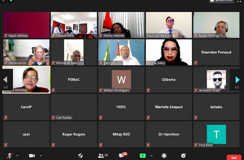 The Guyana-Brazil Frontier Committee meets via video conference