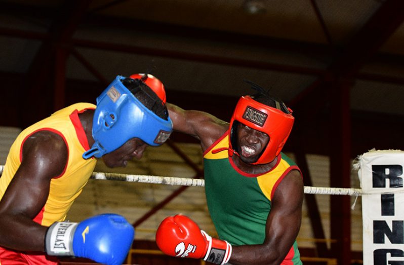 Samuel Maughn 5844: Orlando Norton (right) connects to the head of Royden Grant with an overhand right during the second round of their middleweight contest at the National Gymnasium on Sunday night (Samuel Maughn photo).