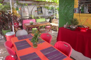 Backyard Café