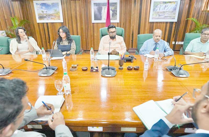 In order to further the conversation of modernising Guyana's banking sector and bringing it in line with the government's larger digital transformation strategy, President Dr. Irfaan Ali met with important financial sector players on Wednesday
