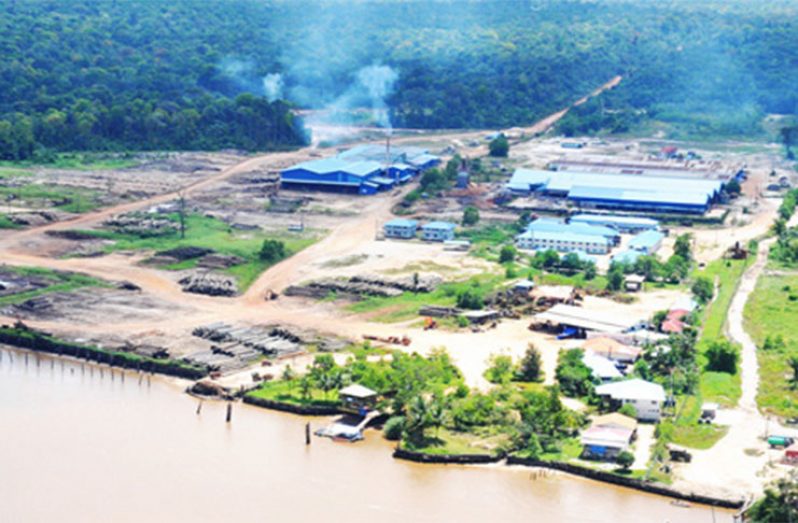 Part of Barama’s operations in Essequibo