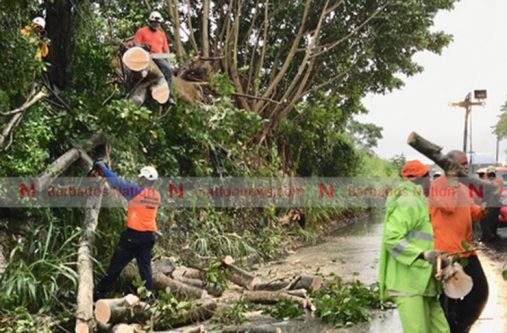 Members of the Rapid Response Team clearing the road at Brighton, St George, where a tree fell in the road yesterday. (Photo by Nigel Browne)