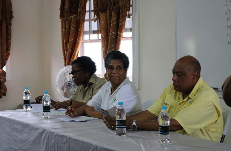 Minister of Natural Resources , Raphael Trotman (at right) and other officials at the event.(MNR photo)