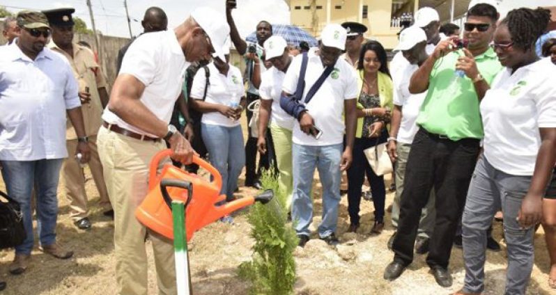 President David Granger is watering the tree he planted in Bartica on National Tree Planting Day, when he called for a 'green revolution'  