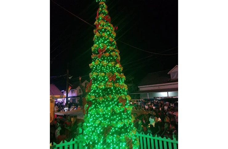 The lighted tree in the municipality of Bartica