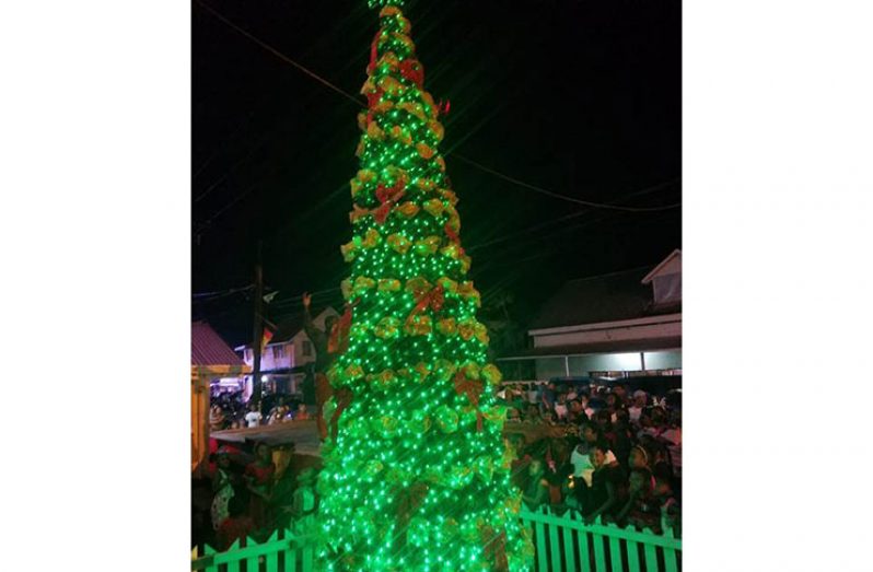 The lighted tree in the municipality of Bartica