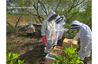 One of many apiaries in Guyana
Stewart – Beekeeper, Lyndon Stewart