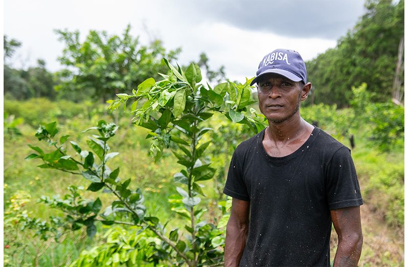 Farmers like Khemraj Singh, known as Sunil, work alongside each other and community leaders to develop systems tailored to their crops (Delano Williams photo)