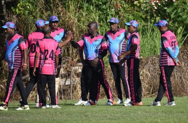 Big Man Cricket was halted last April