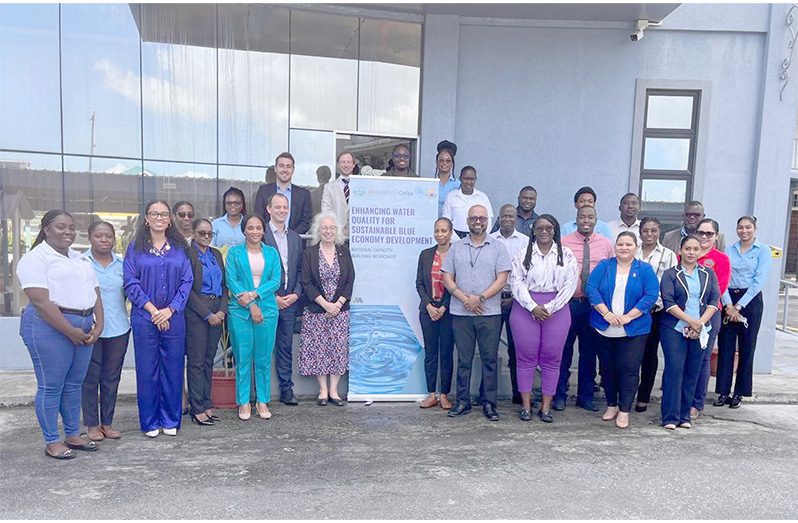 Stakeholders gathered for the project workshop at the EPA