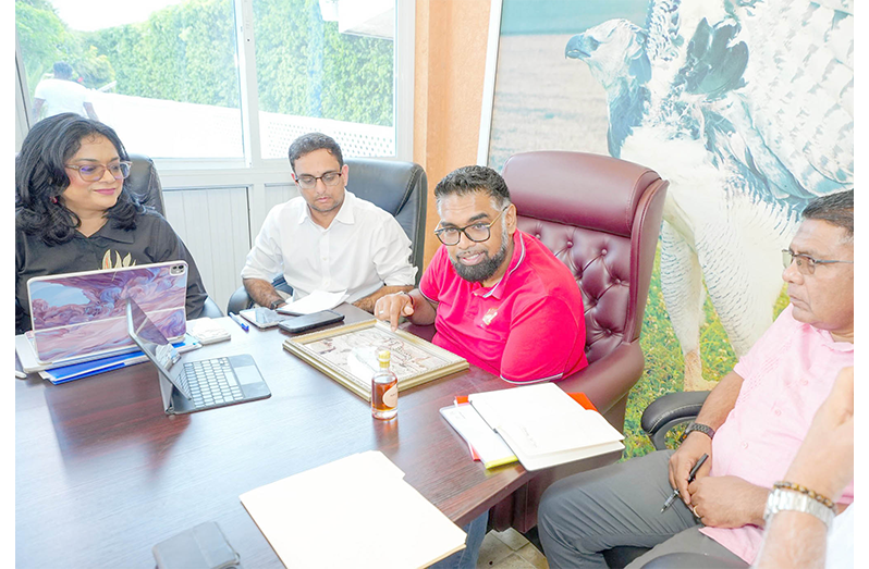 President, Dr Irfaan Ali and several Cabinet members during a meeting with an executive team from U.S.-based agriculture company Blumberg Grain and Logistics (Office of the President photo)