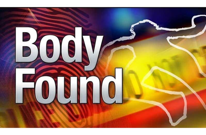 Body-