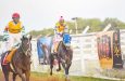 Bossalina will return to competitive racing